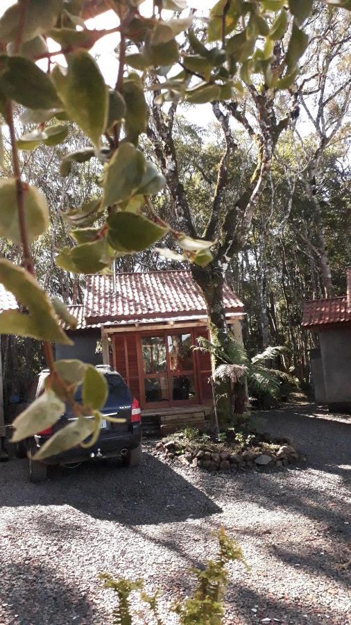 Morada do Xaxim - Chalé Hortência São Francisco de Paula Exterior foto